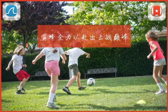 黄蜂全力以赴出击战巅峰