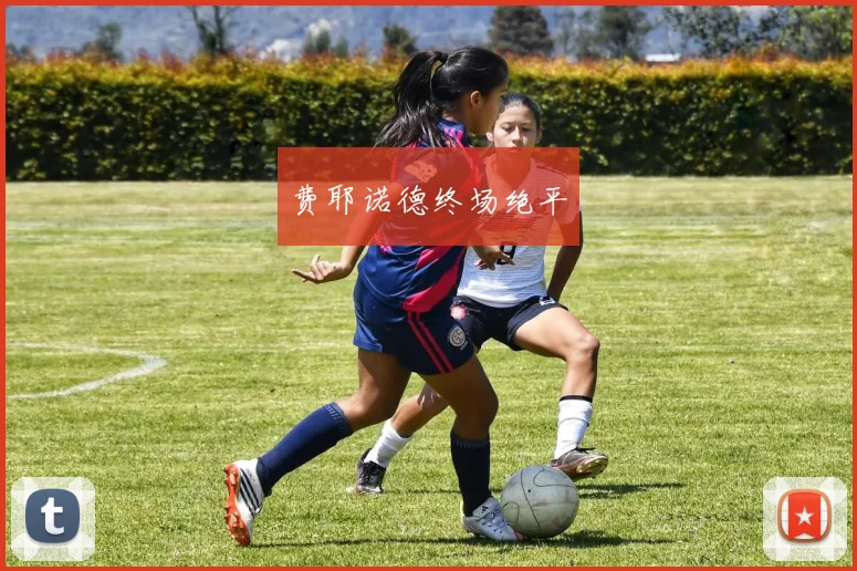 费耶诺德终场绝平