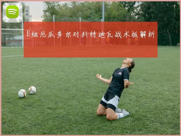 E组厄瓜多尔对科特迪瓦战术板解析