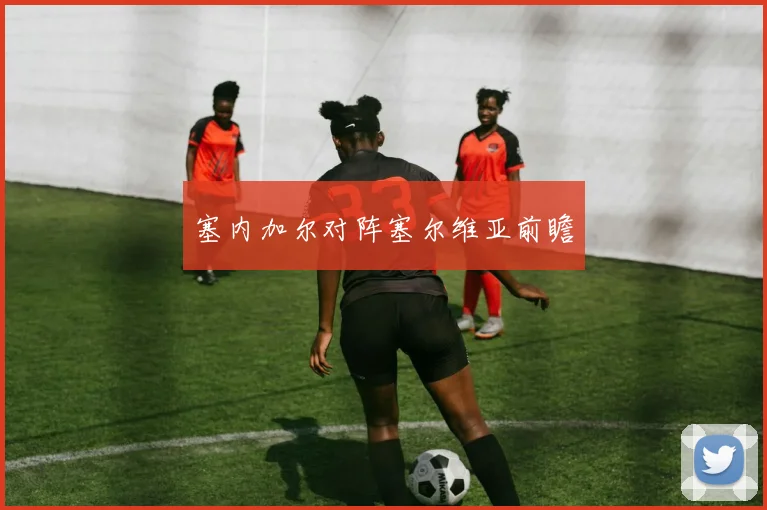 塞内加尔对阵塞尔维亚前瞻