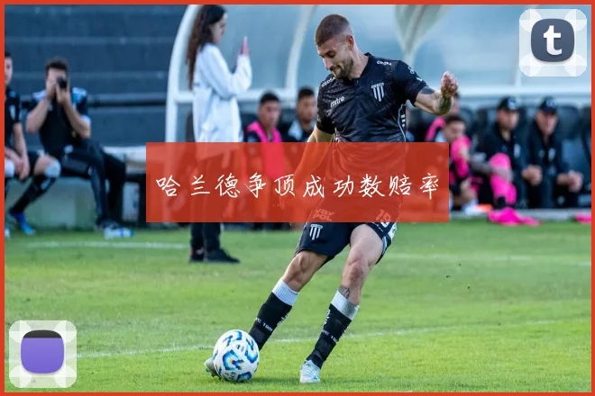 哈兰德争顶成功数赔率