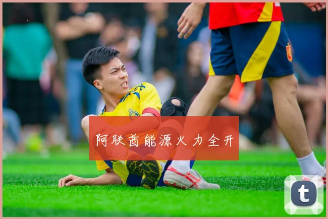 阿联酋能源火力全开