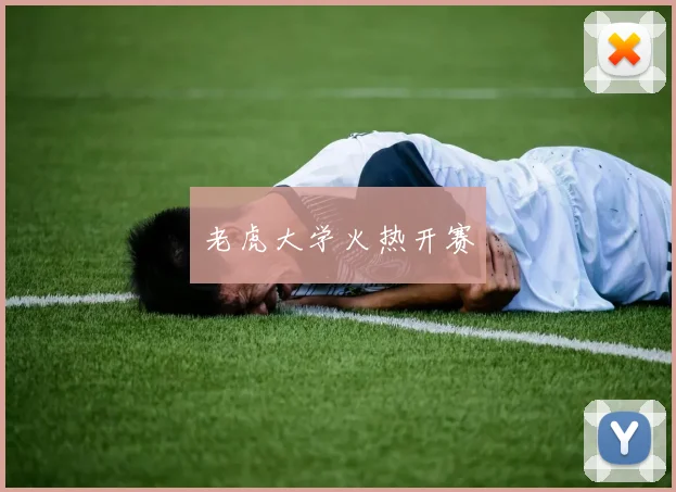 老虎大学火热开赛