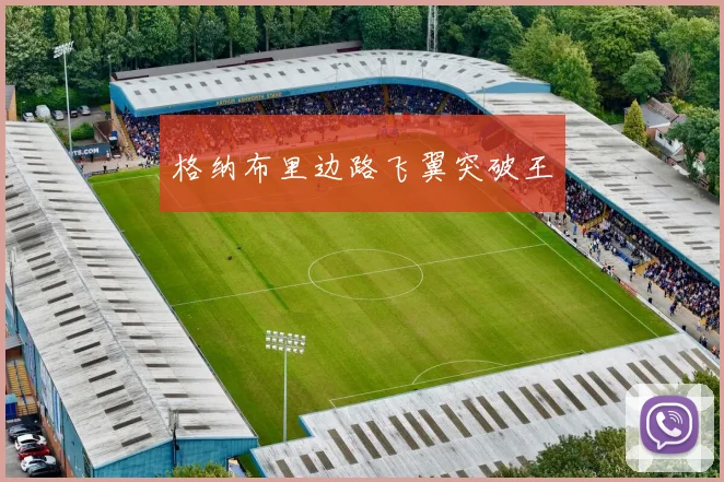 格纳布里边路飞翼突破王