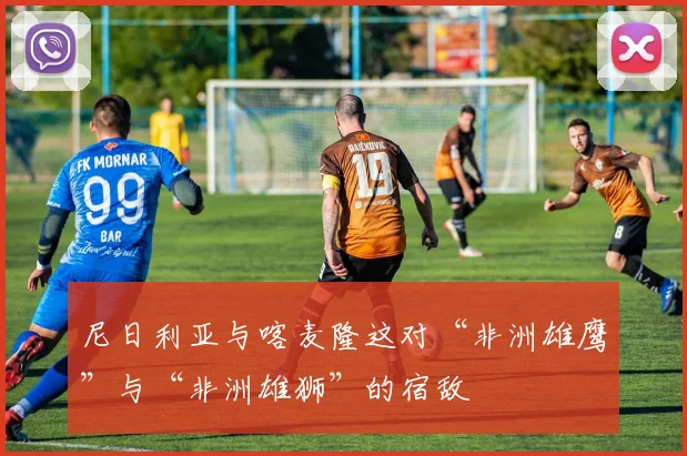 尼日利亚与喀麦隆这对“非洲雄鹰”与“非洲雄狮”的宿敌