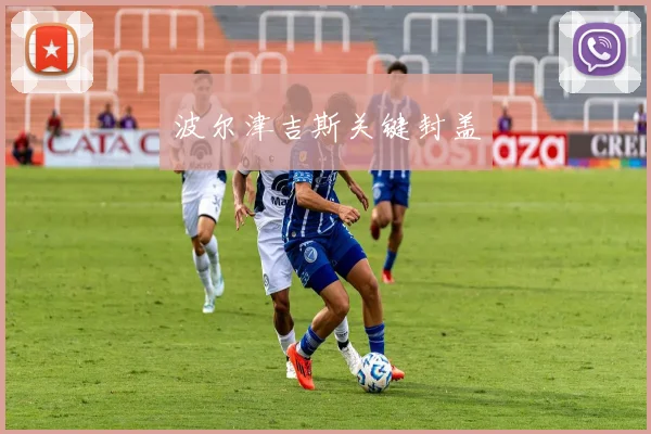 波尔津吉斯关键封盖