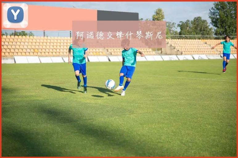 阿诺德交锋什琴斯尼