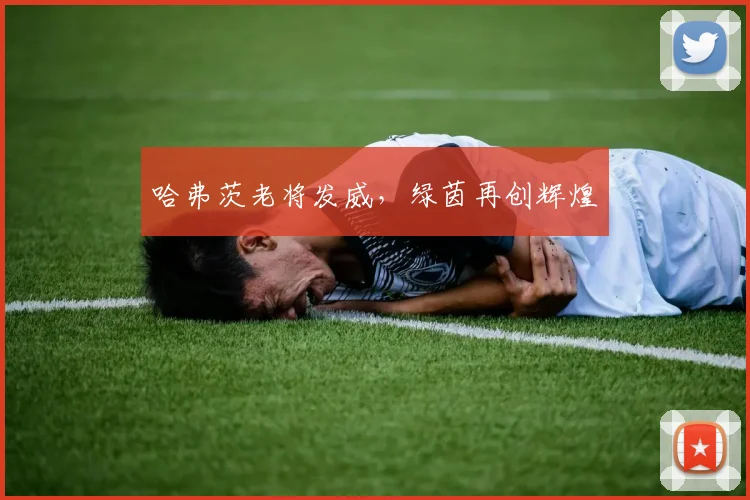 哈弗茨老将发威，绿茵再创辉煌
