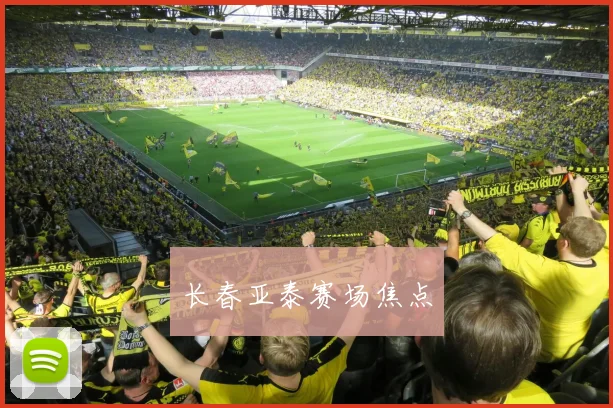 长春亚泰赛场焦点