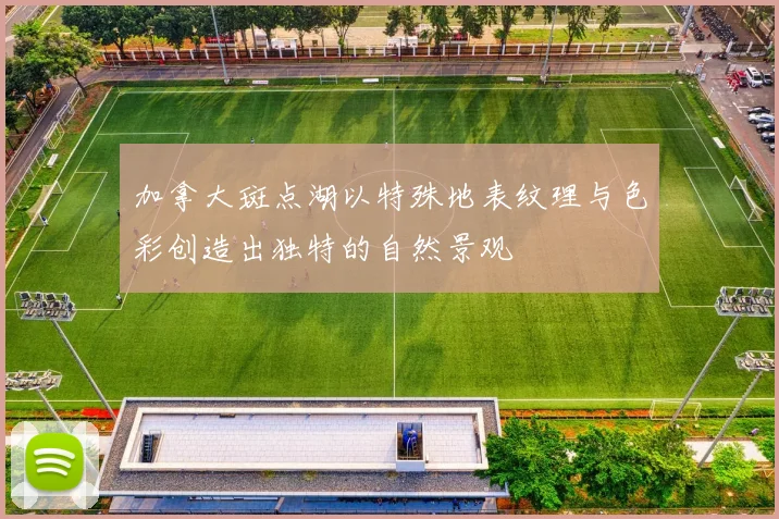 加拿大斑点湖以特殊地表纹理与色彩创造出独特的自然景观