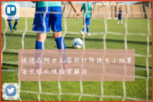 埃德森阿尔瓦雷斯对阵捷克小组赛高空球处理赔率解读