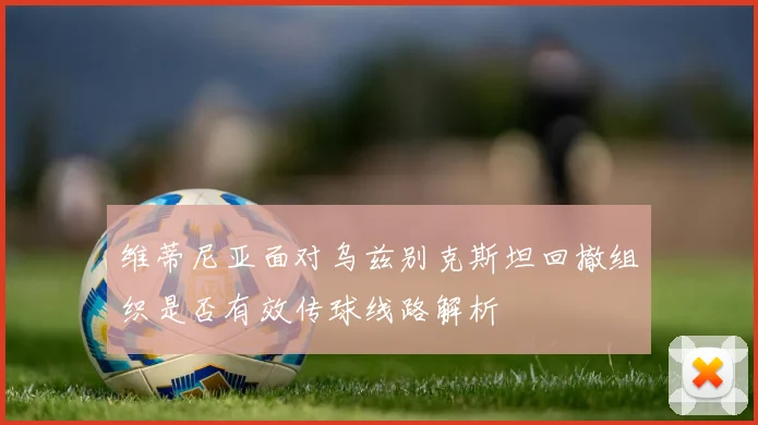 维蒂尼亚面对乌兹别克斯坦回撤组织是否有效传球线路解析