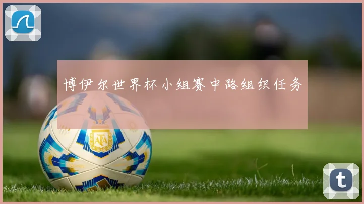 博伊尔世界杯小组赛中路组织任务