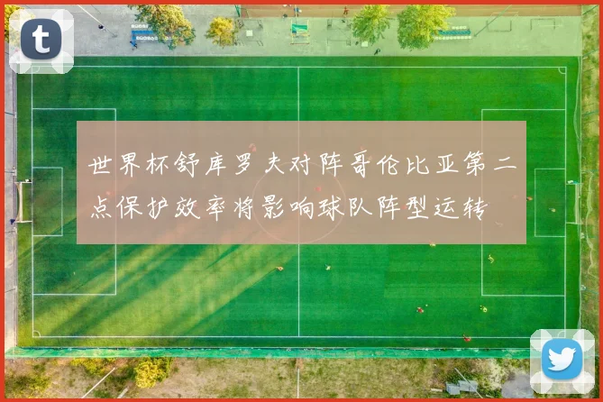 世界杯舒库罗夫对阵哥伦比亚第二点保护效率将影响球队阵型运转
