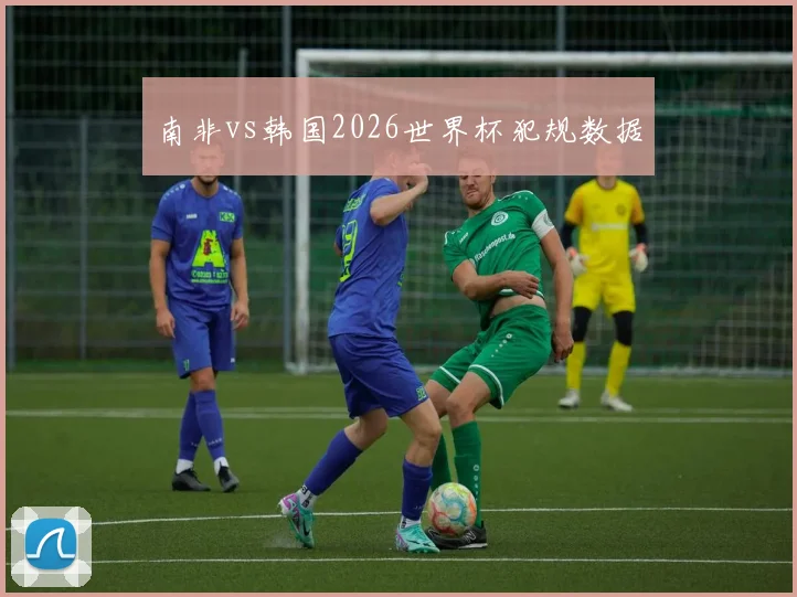 南非vs韩国2026世界杯犯规数据