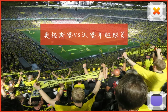 奥格斯堡vs汉堡年轻球员