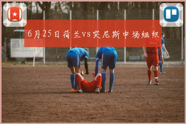6月25日荷兰vs突尼斯中场组织